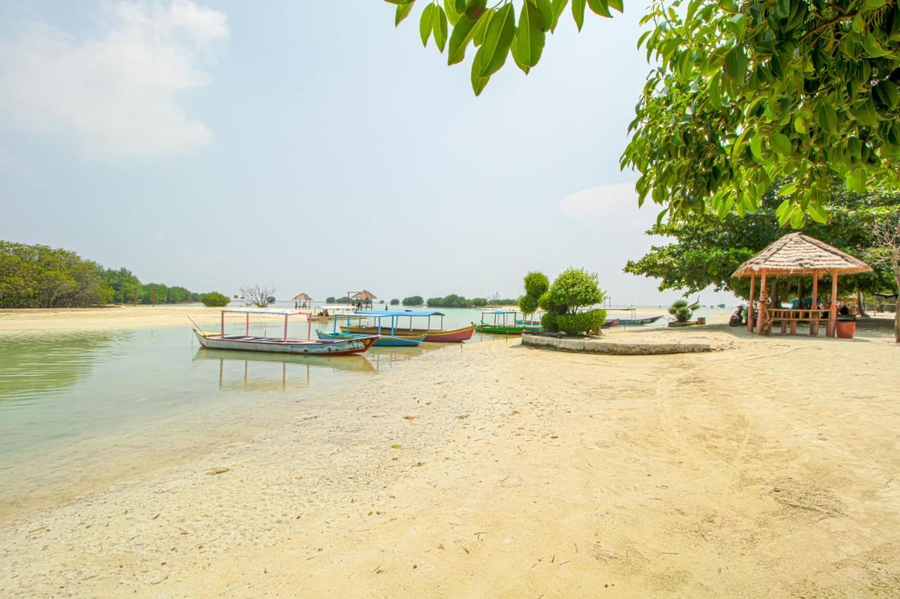 Guerilla Dive Lodge Pulau Pari Jakarta Luaran gambar